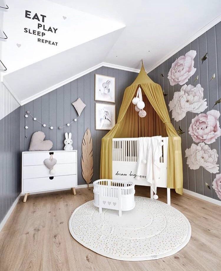 Mustard canopy nursery online