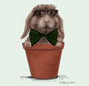 Alannah Cecilia Easter - Bunny Bow Tie