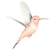 Ginger Monkey Watercolour Hummingbirds Wall Decal